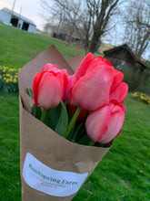 Load image into Gallery viewer, Spring Tulip CSA