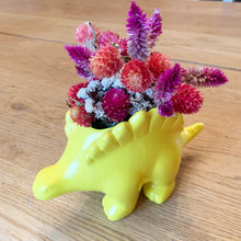 Load image into Gallery viewer, Dinosaur Dried Floral Arrangement
